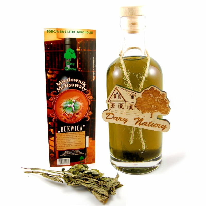 midownik melisowaty.jpg