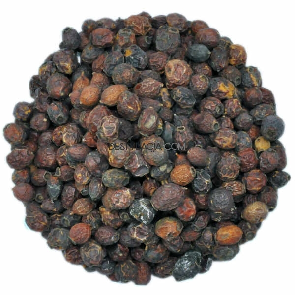 aronia.jpg