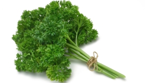 Przyprawa Natka Pietruszki 100g