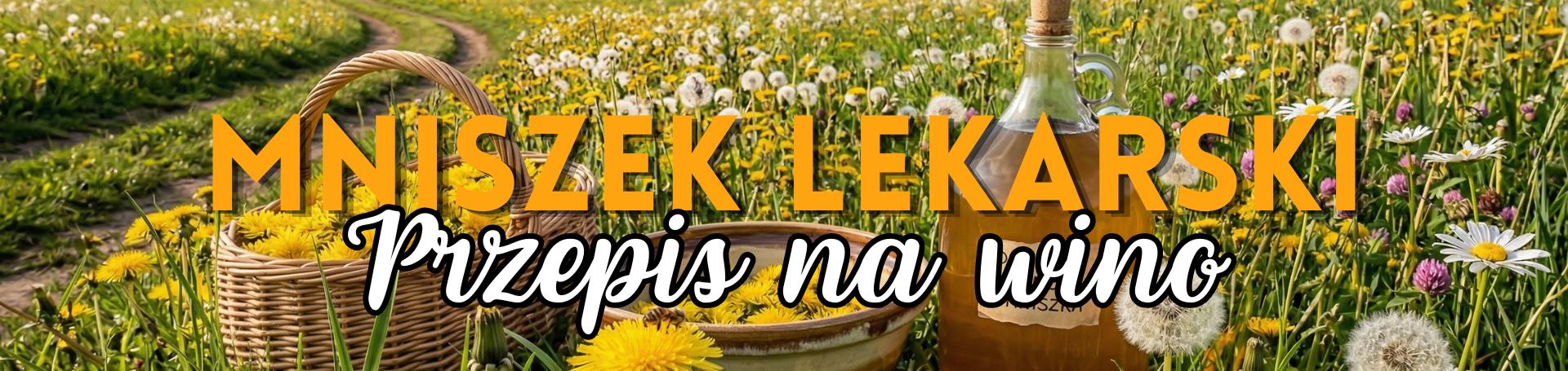 Przepis na Wino z Mniszka Lekarskiego